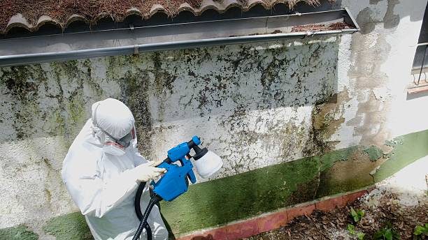 Top rated local Attic Mold Remediation specialists in Betterton, MD